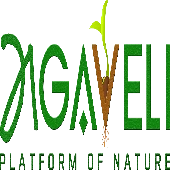Agaveli Private Limited