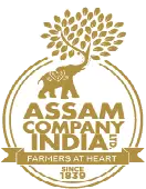Assam Oil And Gas Limited