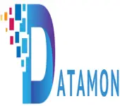 Datamon It Services Private Limited