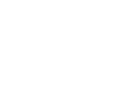 Sangam Lifespaces Limited