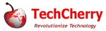 Techcherry Software Consultancy Services Private Limited