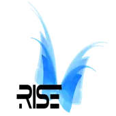 The Rise Creative Solutions Private Limited