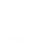 Vridhi Maritime Private Limited