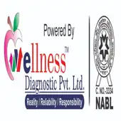 Wellness Diagnostics Private Limited