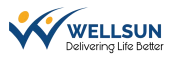 Wellsun Pharmaceuticals Private Limited