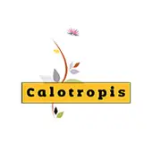 Calotropis Software Solutions Private Limited