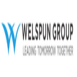 Welspun Investments And Commercials Limited logo