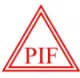 Pacheli Industrial Finance Limited logo