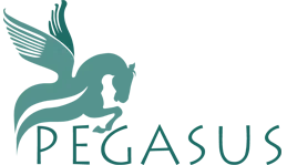 Pegasus Assets Reconstruction Private Limited logo
