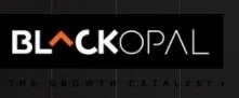 Black Opal Consultants Private Limited logo