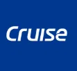 Cruise Appliances Private Limited logo