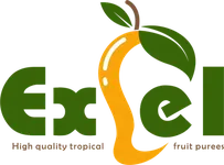 Excel Foods Private Limited logo