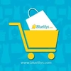 Bluelilys Internet Private Limited logo