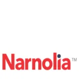 Narnolia Securities Limited logo