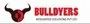 Bulldyers Integrated Solutions Private Limited logo