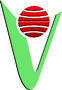 Viva Apparel Private Limited logo