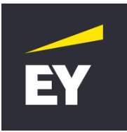 Ernst And Young India Private Limited logo