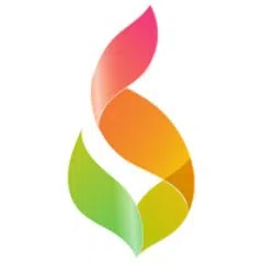 Spiraldesk Software Solutions Private Limited logo