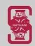 Nathani Industrial Services Pvt Ltd logo