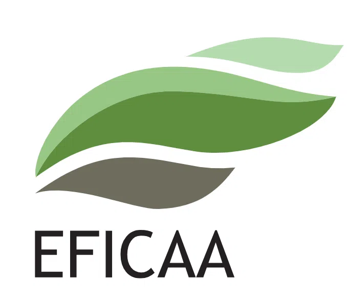 Eficaa Ensmart Solutions Private Limited logo