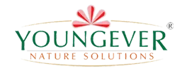 Youngever Nature Solutions Private Limited logo