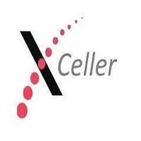 Xceller It Services Private Limited logo