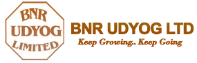 Bnr Udyog Limited logo