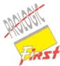 Prologic First India Private Limited logo