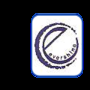 Evershine Lifesciences Private Limited logo