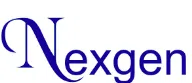 Nexgen Infosystems Limited logo
