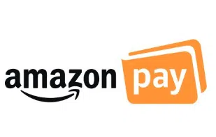 Amazon Pay (India) Private Limited logo