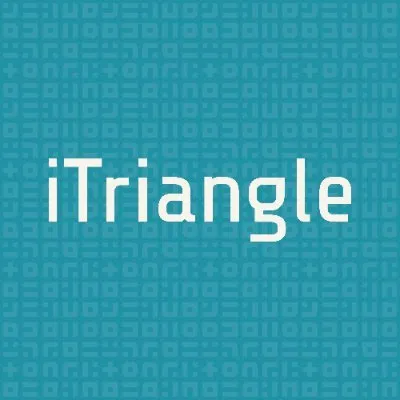 Itriangle Infotech Private Limited logo