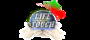 Life Touch Enterprises Private Limited logo