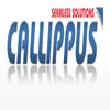 Callippus Solutions Private Limited logo