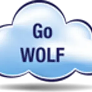 Wolf Frameworks India Private Limited logo