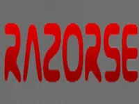 Razorse Software Private Limited logo