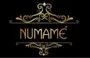 Numame Exim Private Limited logo