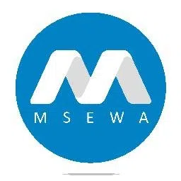 Msewa Software Solution Private Limited logo