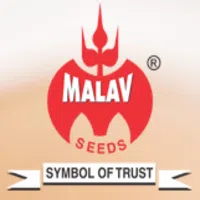 Malav Seeds Pvt Ltd logo