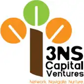 3Ns Capital Ventures Private Limited logo