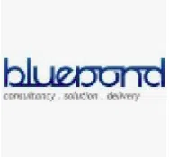 Bluepond Consultancy Services Private Limited logo