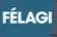 Felagi Private Limited logo