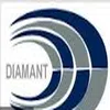 Diamant Infrastructure Limited logo