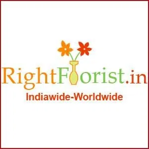 Right Shopping Private Limited logo