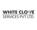 White Clove Services Private Limited logo