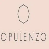 Opulenzo Private Limited logo