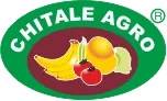 Chitale Agro Industries Private Limited logo