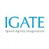 Igate Computer Systems Limited logo