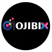 Ojibix Private Limited logo