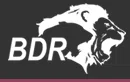 Bdr Pharmaceuticals International Private Limited logo